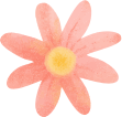 watercolor flower